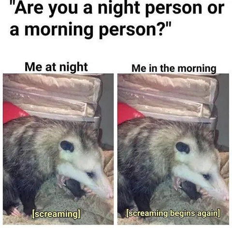 Night Person or Morning Person