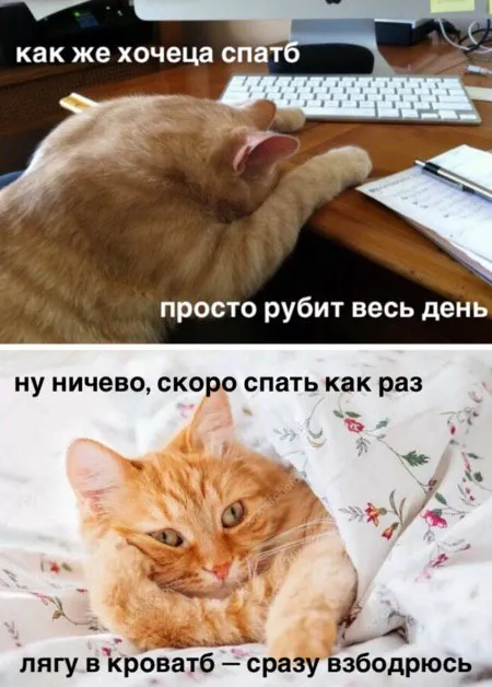 Когда весь день хочется спать