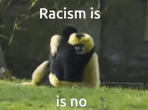 Racism Is No Problem