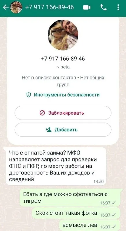 Фотка с тигром вместо справки