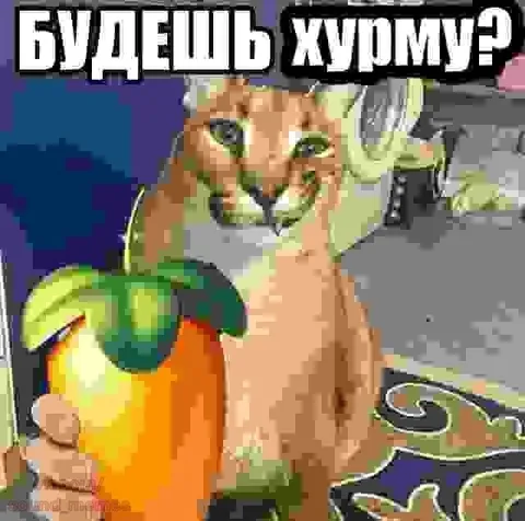 Будешь журиму?