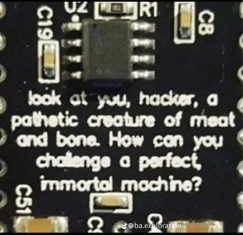 Perfect Immortal Machine