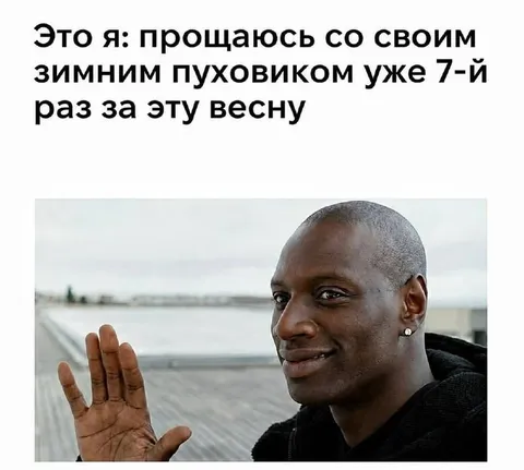 Седьмое прощание с пуховиком