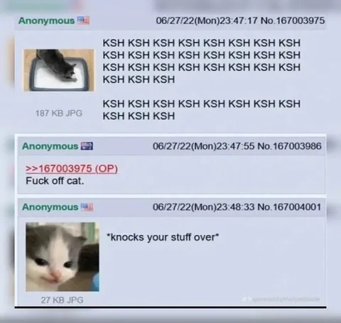 Cat Knocks Your Stuff Over