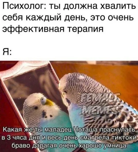 Похвала за просмотр тиктоков