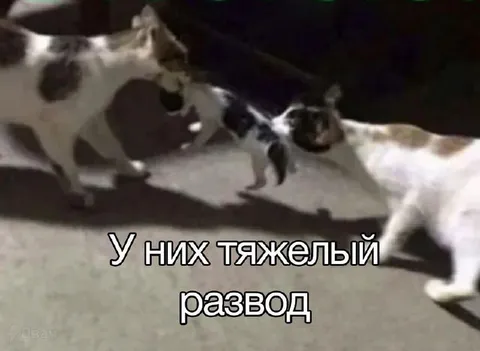 У них тяжелый развод