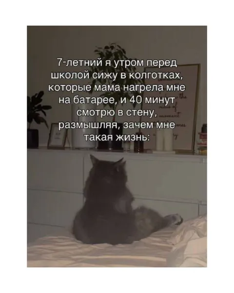 Семилетний экзистенциалист перед школой