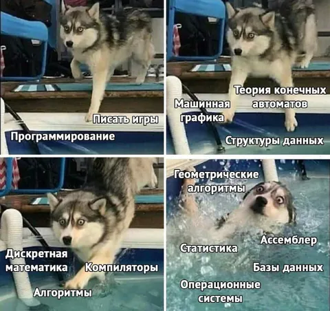 Когда изучаешь программирование