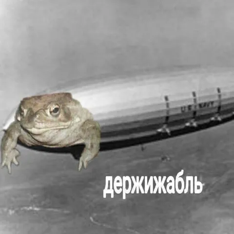 Лягушка на держижабле