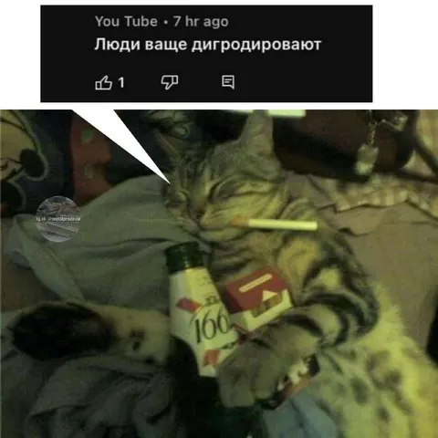 Люди ваще дигродируют