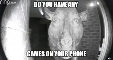 Rhino Asking for Phone Games