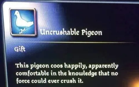 Uncrushable Pigeon Gift