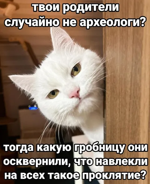 Родители-археологи и проклятая гробница