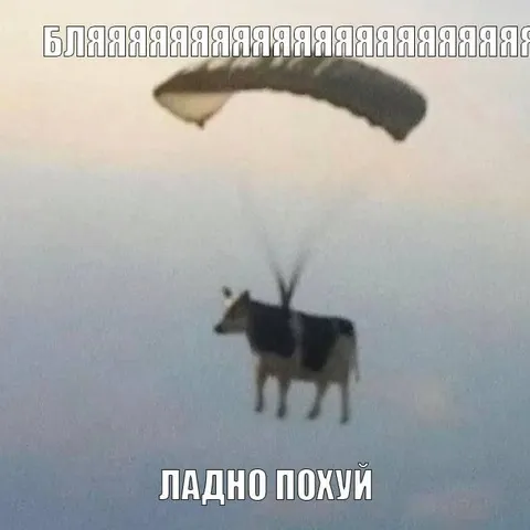 Бля, ладно похуй