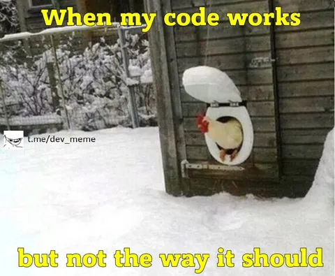 When My Code Works Wrong