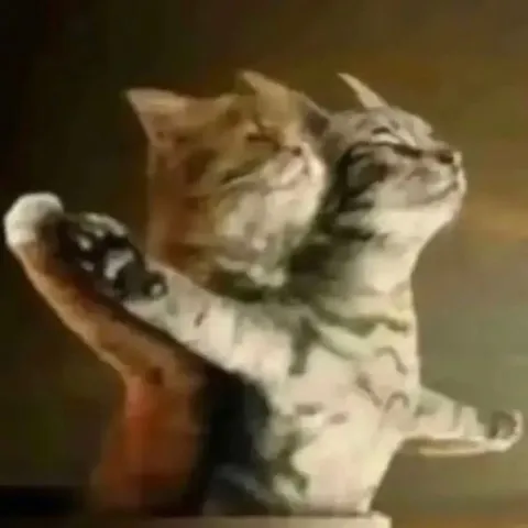 Коты обнимаются и улыбаются