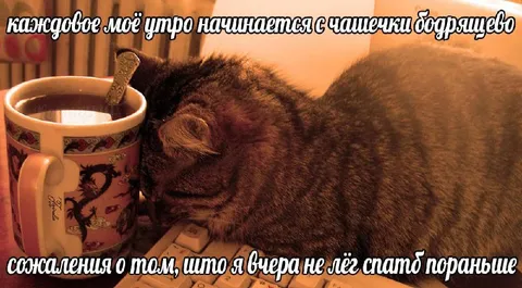 Утро с чашечкой сожаления