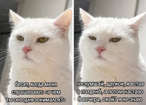 Когда спрашивают о планах