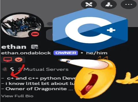 Discord Developer Bio Reaction