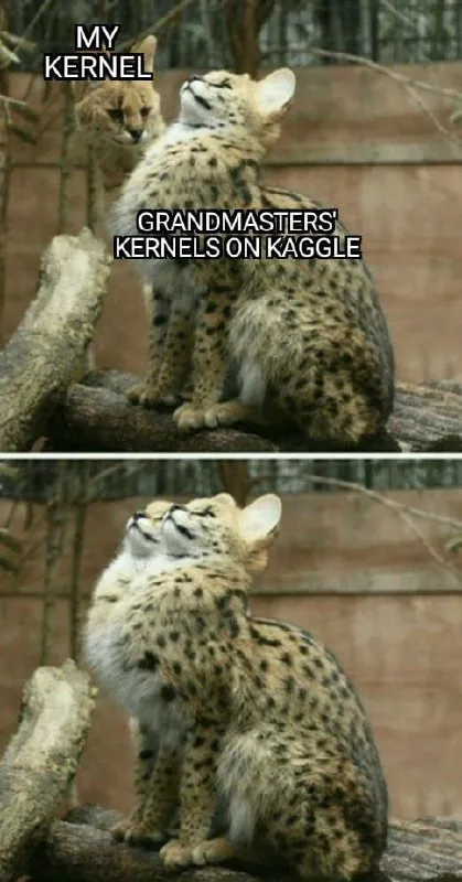 My Kernel vs Grandmasters' Kernels