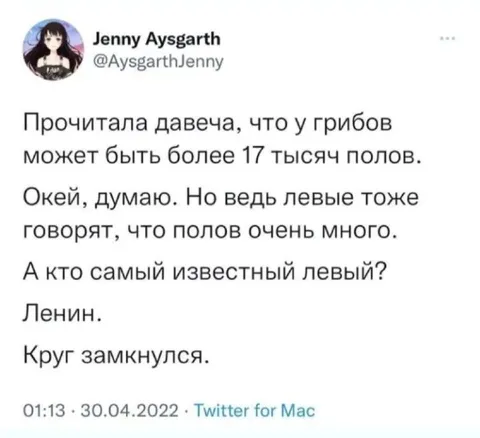 Грибы и левые полы