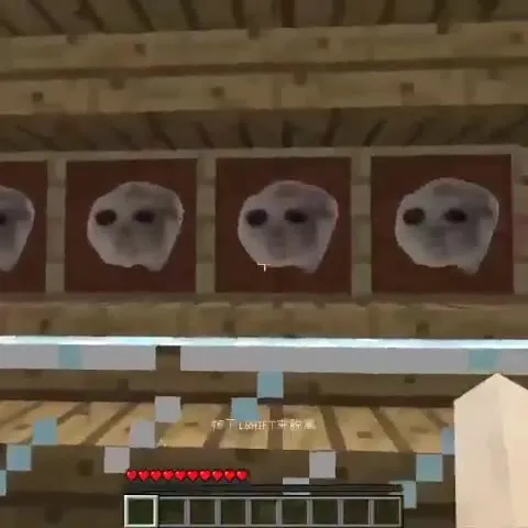 Котики в Minecraft под Cotton Eye Joe
