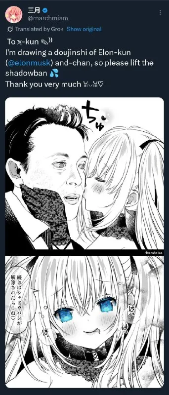 Elon-Kun Shadowban Doujinshi