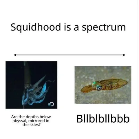 Squidhood Is a Spectrum