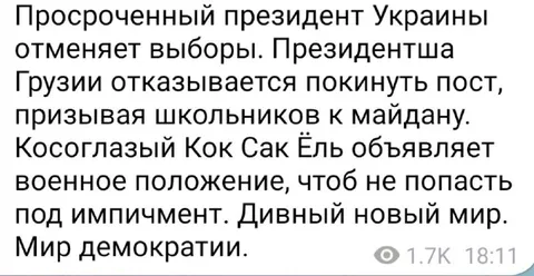 Дивный новый мир демократии