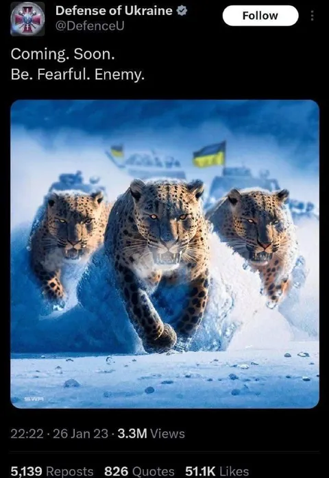 Three Leopards Coming Soon