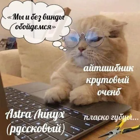 Альфа Линух без Винды