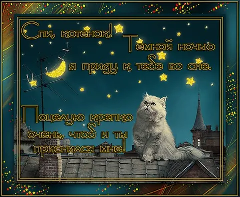 Котёнок приснится во сне