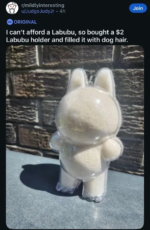 Dog Hair Labubu Holder