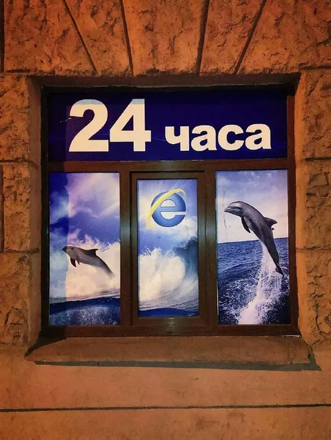 Дельфинарий работает 24 часа