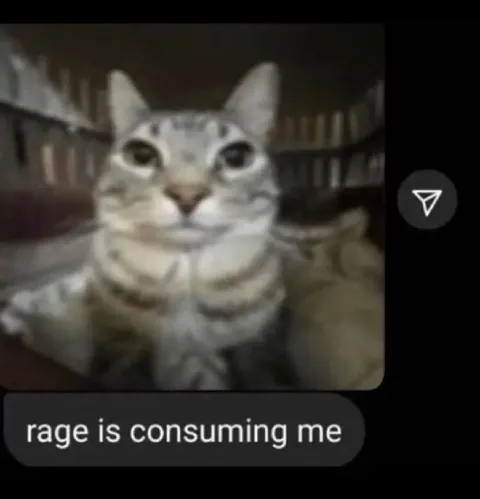 Rage Is Consuming Me Cat