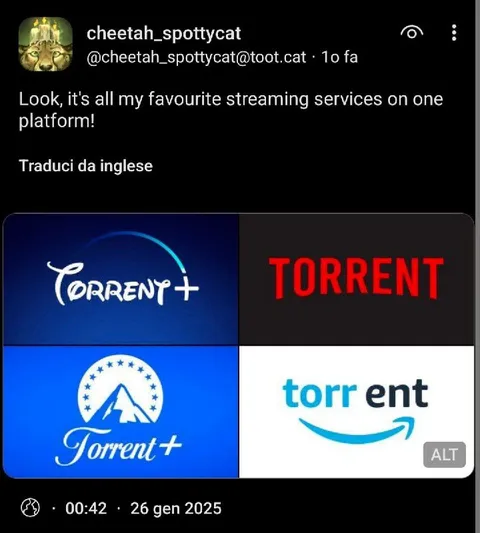 All Favorite Streaming Services