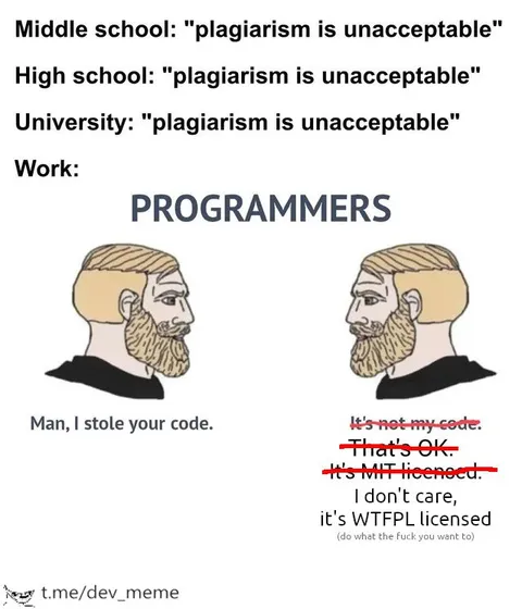 Programmers Ignore Plagiarism Rules