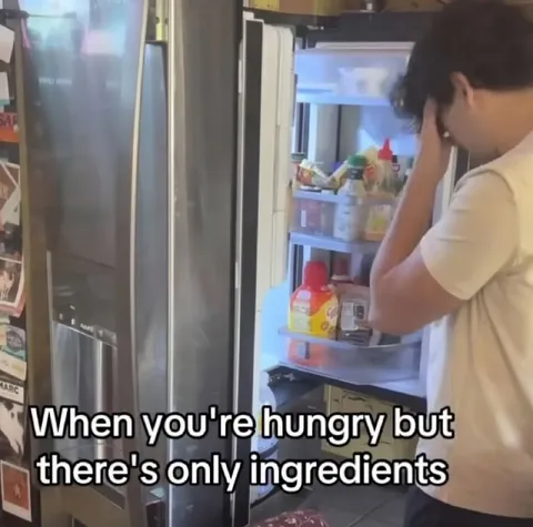 Hungry but Only Ingredients