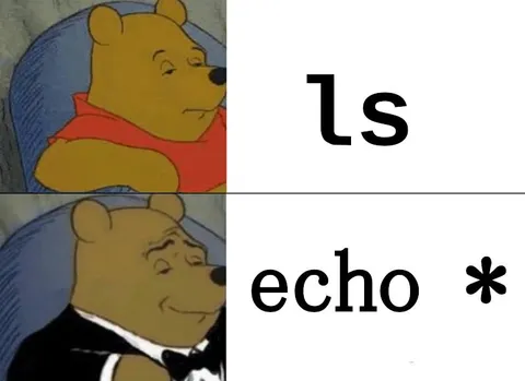 Winnie Pooh ls versus echo