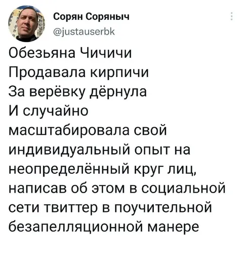 Обезьяна Чичичи и кирпичи