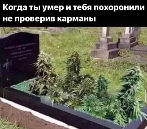 Не проверив карманы