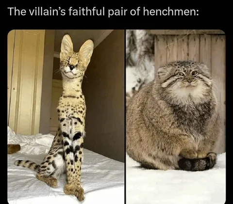 The Villain’s Faithful Henchmen