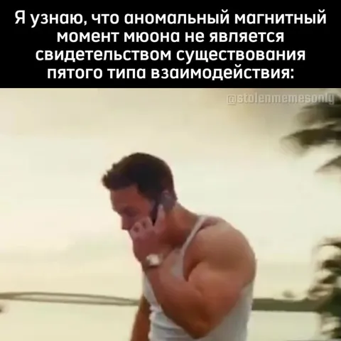Мюонная аномалия и пятый тип