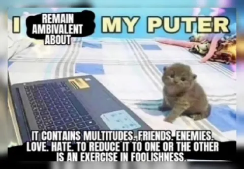 Ambivalent About My Puter