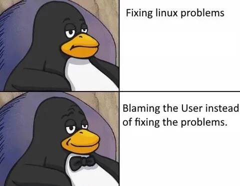 Blaming the User Instead