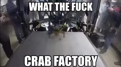 What the Fuck Crab Factory