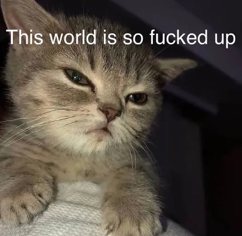 This World Is So Fucked Up