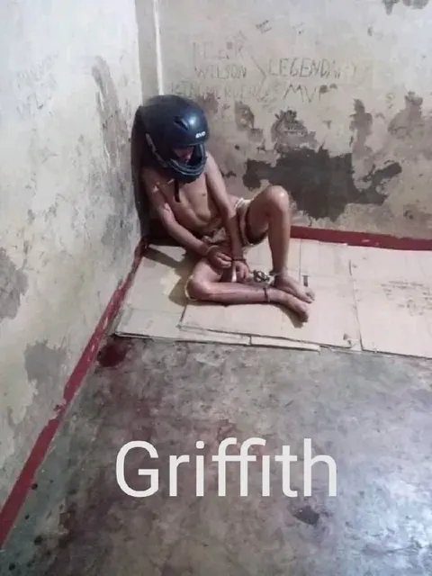 Griffith in Captivity