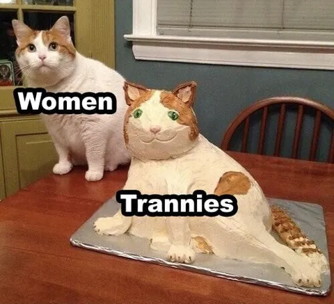 Women Trannies Cat Cake