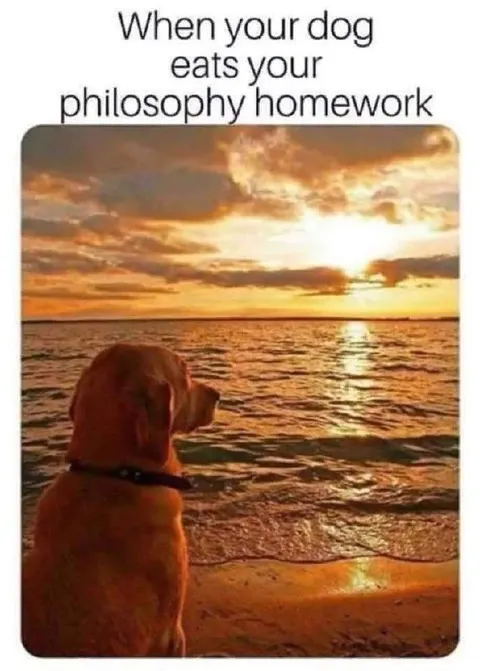 Dog Eats Philosophy Homework